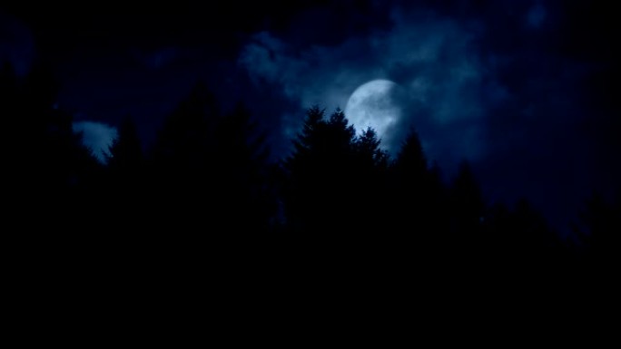 树木上方满月的云树木上方满月的云月亮