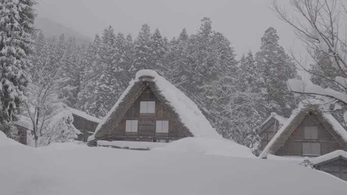 日本冬季，日本岐阜，石川县和富山县附近的雪中是白川县的传统茅草屋