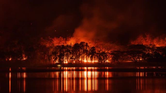 泰国清迈夜间野火，森林与水倒影的时间流逝