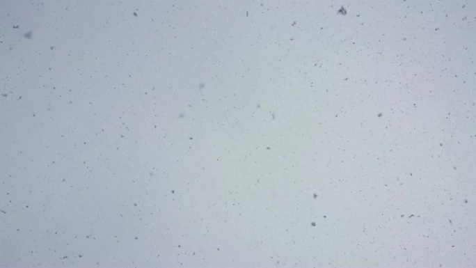 雪景满天碎屑雪花飘落大雪纷飞