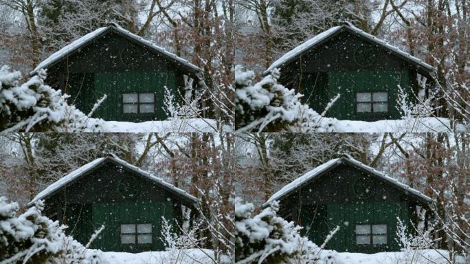慢动作: 森林中孤独的绿色木屋被雪覆盖。