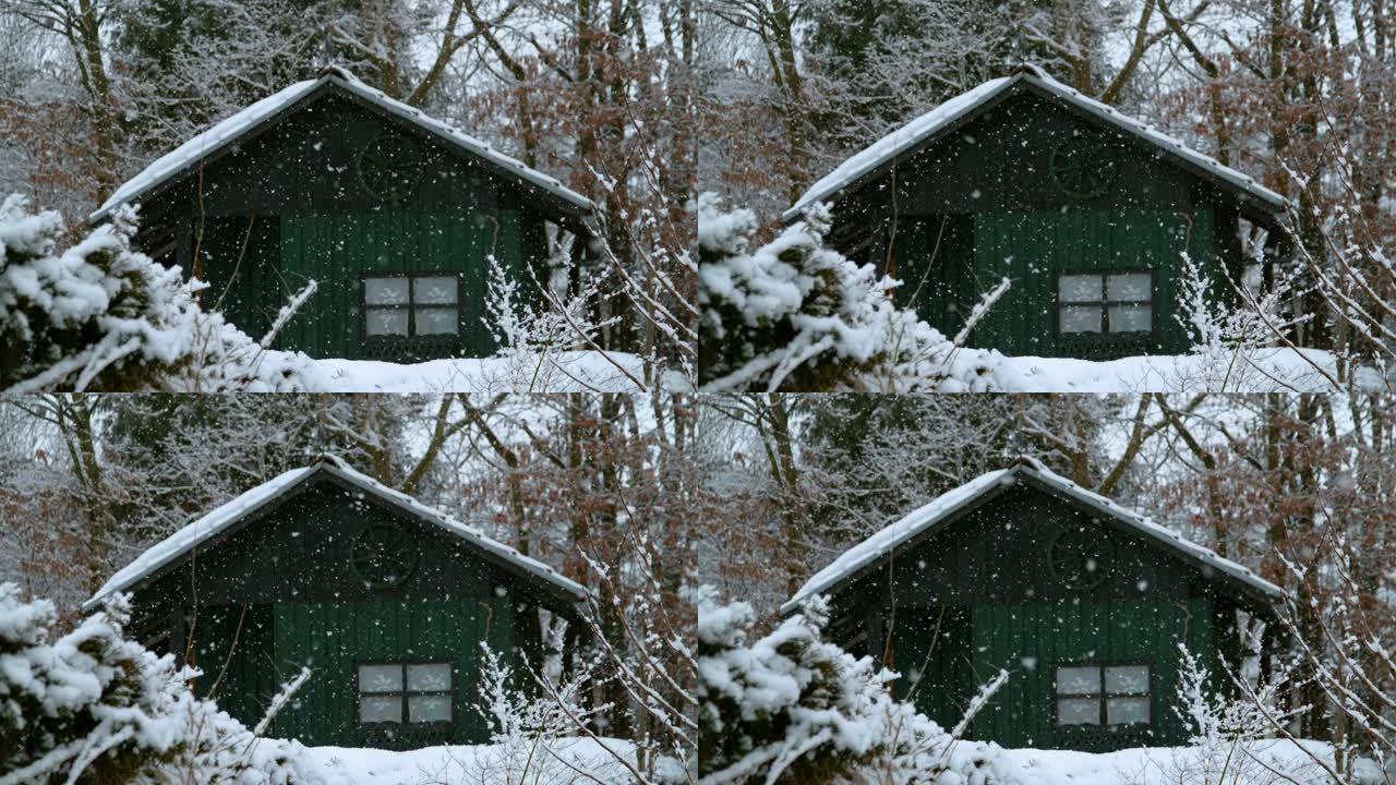 慢动作: 森林中孤独的绿色木屋被雪覆盖。