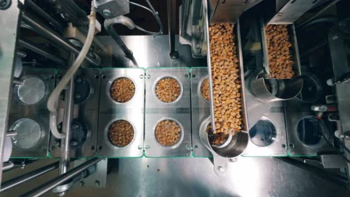 在食品工厂用小麦饼干填充容器的过程。机器人生产线