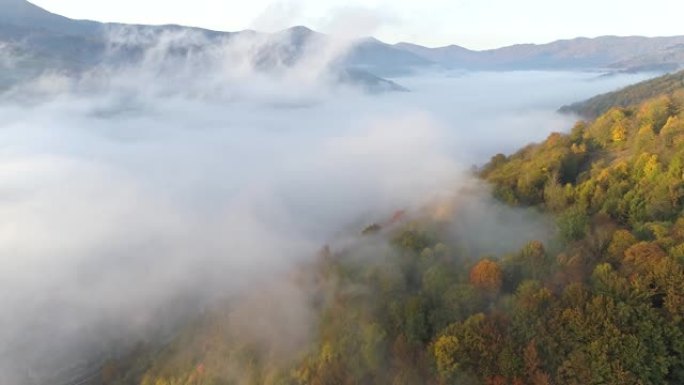 布满薄雾的山谷。右边覆盖着森林的山。以地平线为背景的山脉。空中射击，UHD