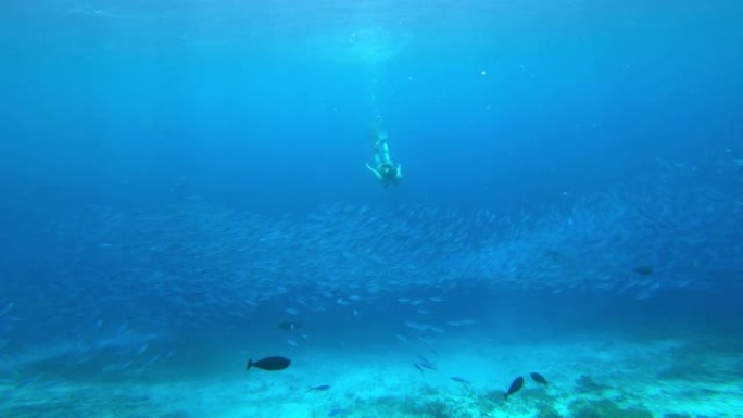 充实地生活深海鱼海底世界海洋潜水