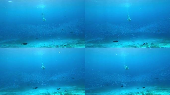 充实地生活深海鱼海底世界海洋潜水
