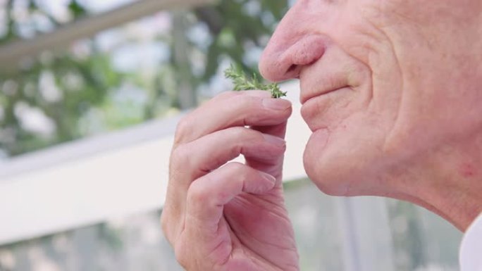 闻到芳香药草的高级男子