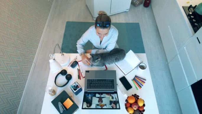 女人在笔记本电脑上与人交谈时抚摸猫。
