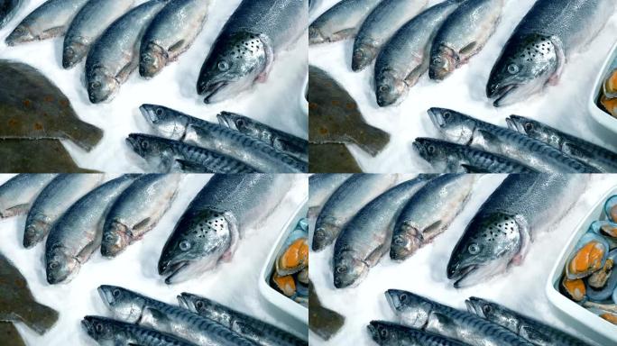 散布在冰上的鱼贩海鲜