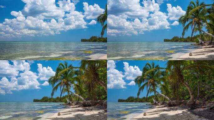 古巴有棕榈树的热带海滩