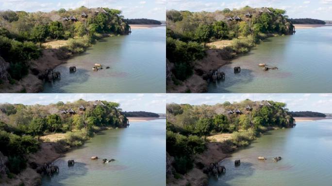 一群大象在津巴布韦Save河上的小屋前游泳的鸟瞰图