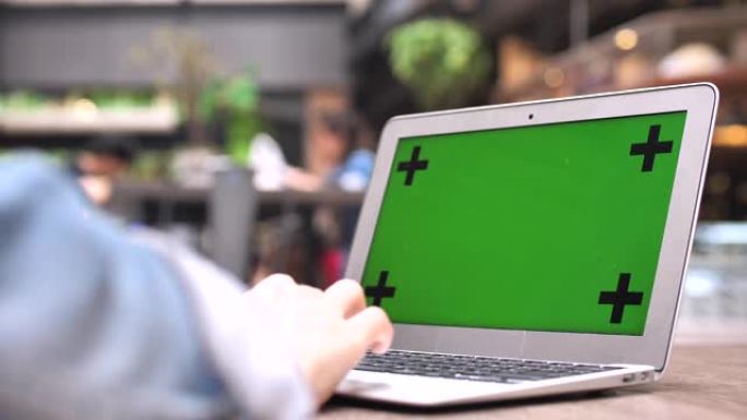 使用带有绿色屏幕的笔记本电脑