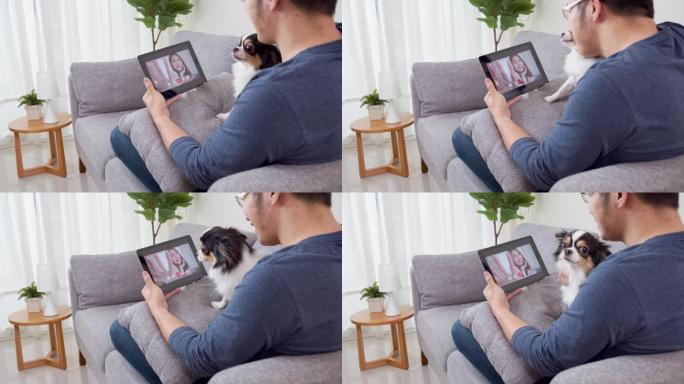亚洲男子在沙发上的肩膀视图视频通话或视频会议，与女友和宠物感到快乐。亚洲夫妇在冠状病毒隔离期间通过平