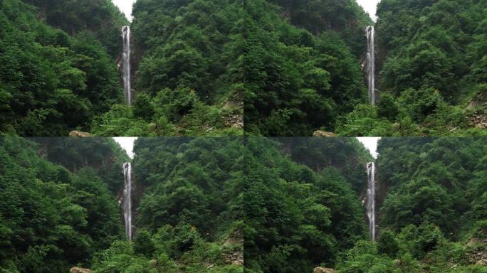 山上的瀑布林业绿化树林植被生态水源