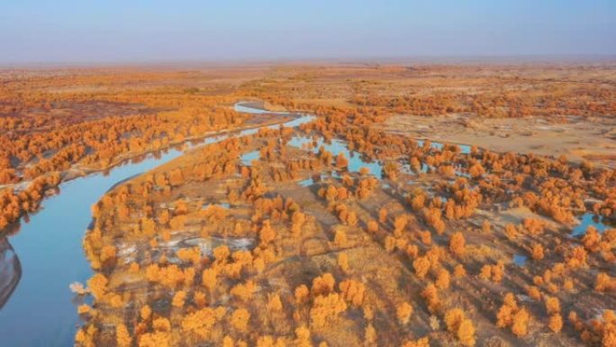 新疆鸟瞰图沙漠绿洲航拍湿地沼泽唯美秋景