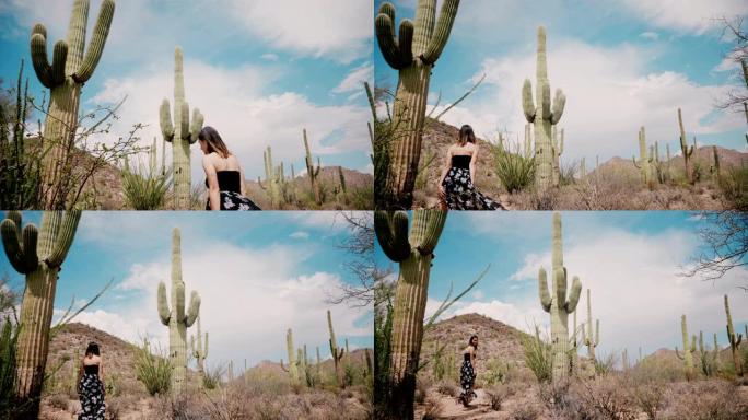 慢镜头电影低角度，年轻美丽的女游客在长长的连衣裙中走在巨大的仙人掌沙漠领域