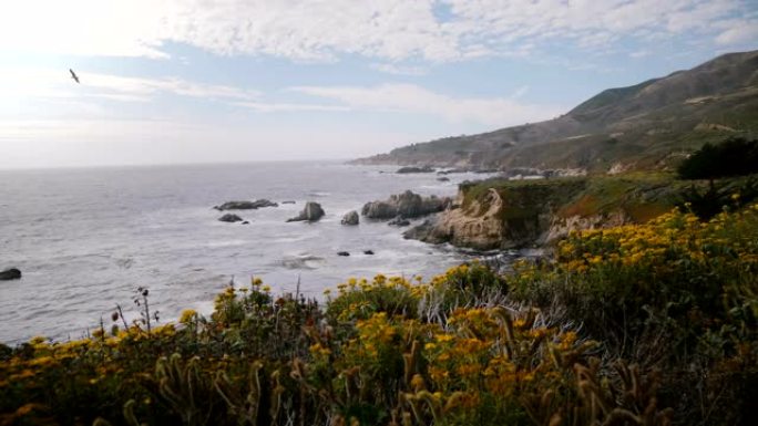 相机在美丽的大苏尔海洋海岸线加利福尼亚令人惊叹的海滩岩石和花朵上的视点上滑动。