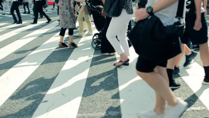 涩谷争先恐后穿越斑马线上的行驶脚步走路