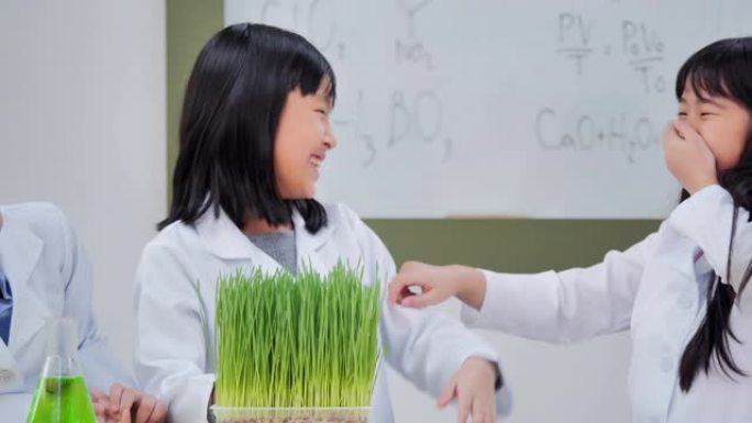 学校生物实验快乐有趣的孩子。如何让孩子感兴趣在生物课堂学习。教育，快乐，技术，团队合作，生物学，科学