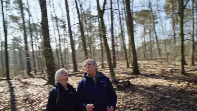 老年夫妇在森林徒步旅行时享受