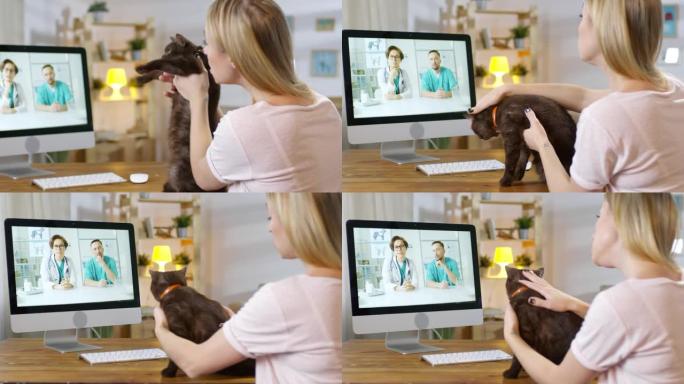 女人向在线兽医展示猫并寻求建议