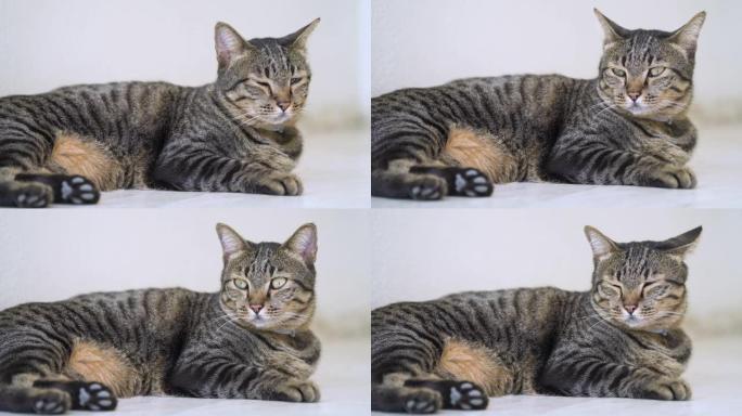 4k困礁躺在地板上