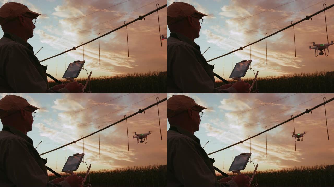 4k剪影日出视图，一名农民在大型蔬菜农场用无人机监视他的玉米作物