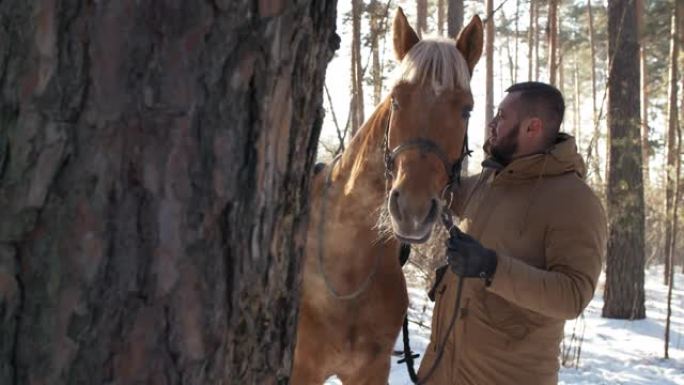 冬季男子在树林中爱抚马