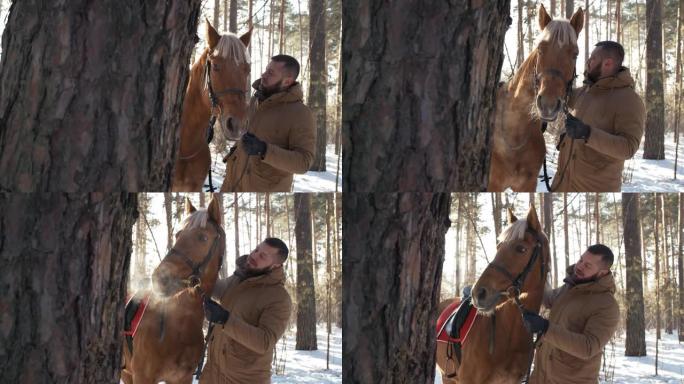 冬季男子在树林中爱抚马