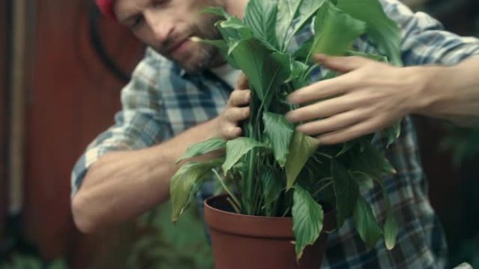 男人在花园里种花