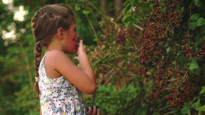 一个快乐的小女孩脸上沾满浆果的真实慢动作镜头正在吃一种新鲜的生物黑莓，她自己在森林里收获并微笑着