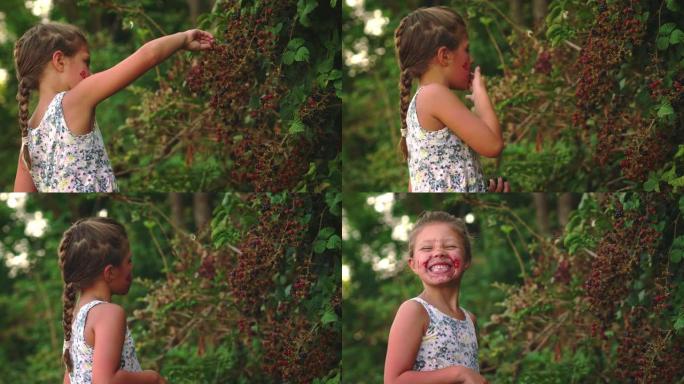 一个快乐的小女孩脸上沾满浆果的真实慢动作镜头正在吃一种新鲜的生物黑莓，她自己在森林里收获并微笑着