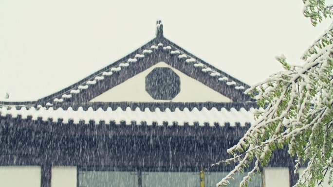 高清4k航拍  三月大雪  园林景观