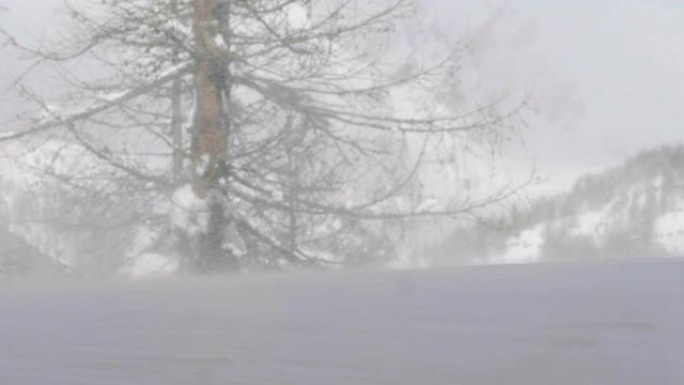 晴天雪山景观。