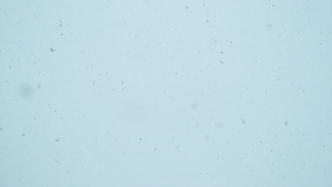 慢动作，dop: 在下雪的冬日，明亮的白色天空的电影拍摄。