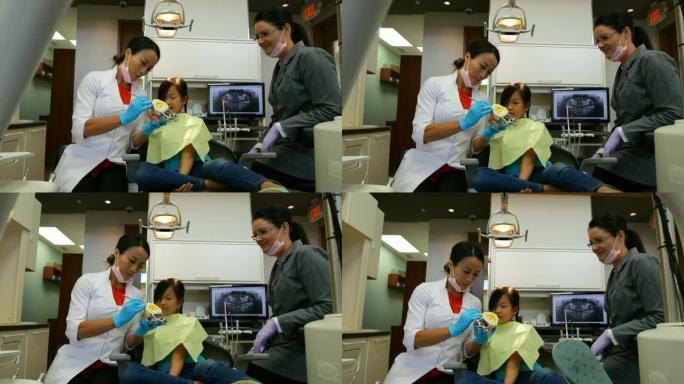 女牙医解释牙齿模型4k