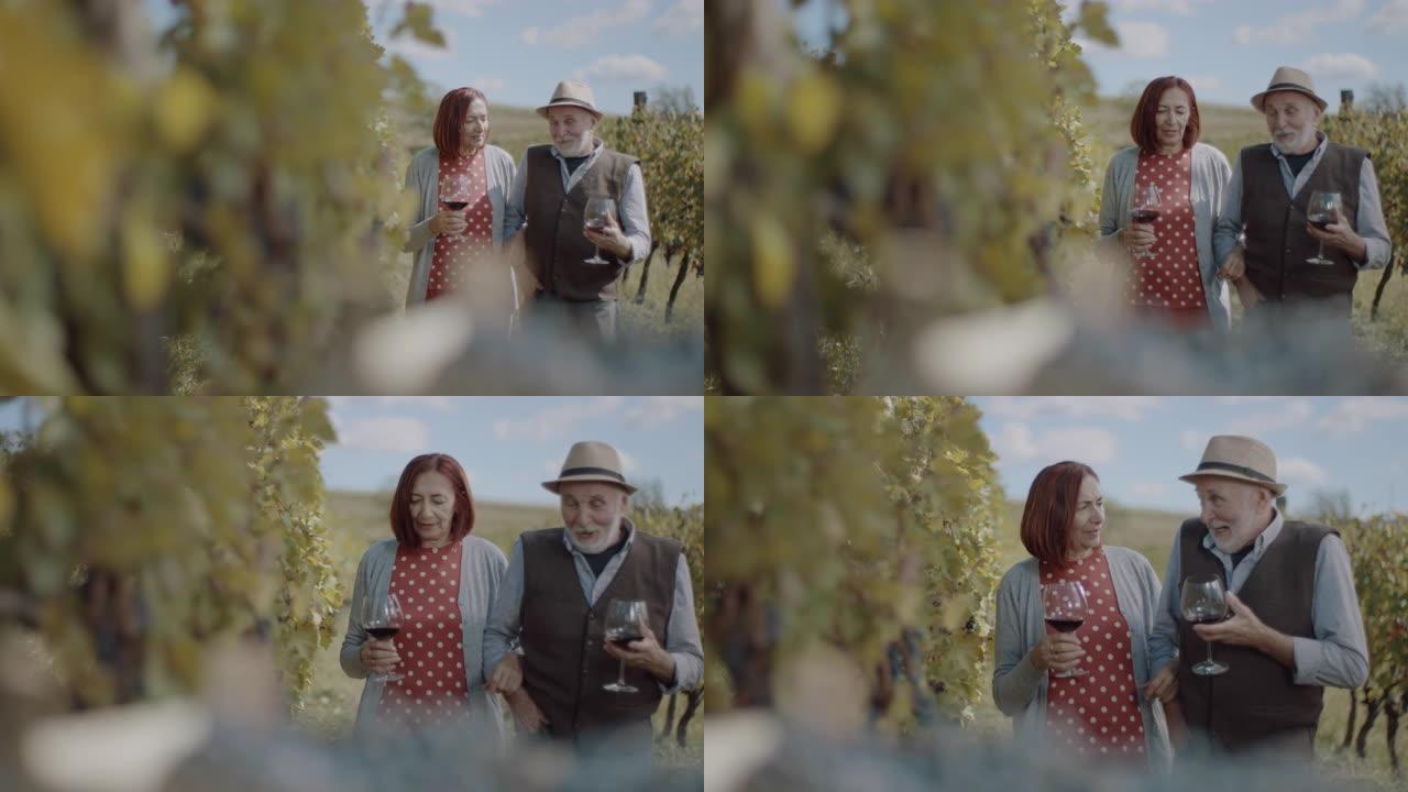 老年夫妇散步品尝葡萄酒