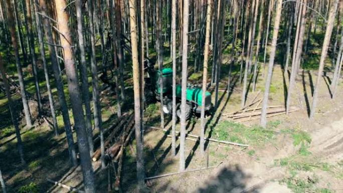 一台机器在树林里砍树。