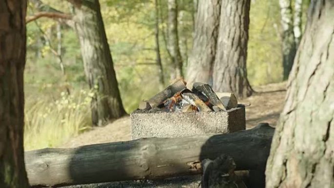 瑞典森林中的篝火户外烧烤野营森林防火