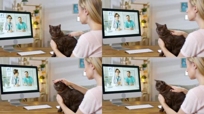 猫主人视频呼叫在线兽医