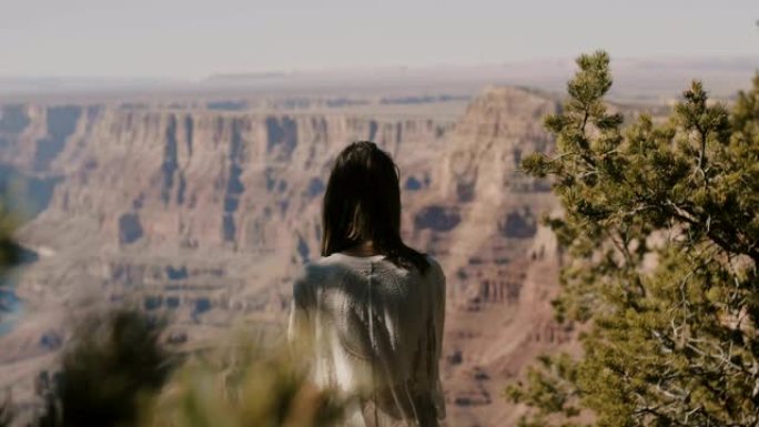 后视图快乐的年轻女子观看美国亚利桑那州大峡谷山风景令人难以置信的炎热夏季全景。