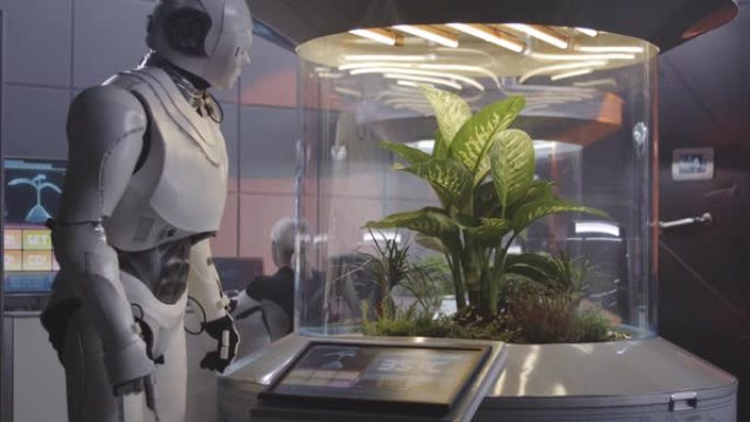 机器人与植物培养箱一起工作