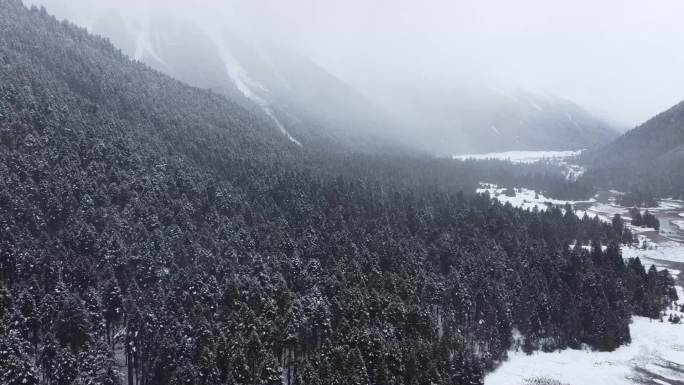 航拍西藏雪山 冰川 冰雪森林 河流