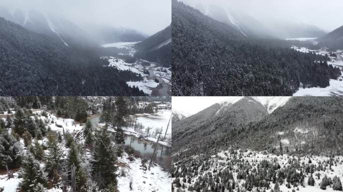 航拍西藏雪山 冰川 冰雪森林 河流