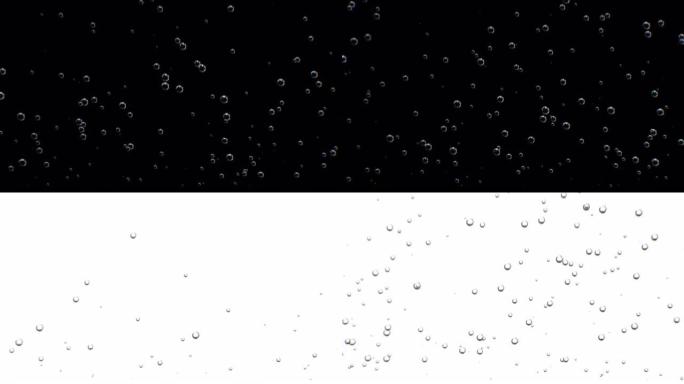 苏打水特写镜头，罕见的气泡开始以慢动作上升。碳酸水在宏观上闪闪发光的3d动画。黑白背景。