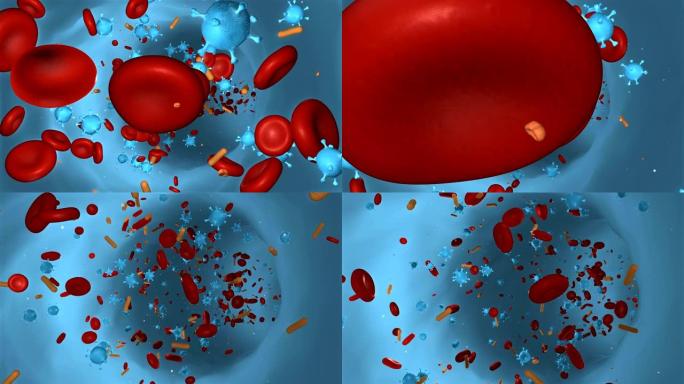 病毒感染的血细胞3D演示动画展示