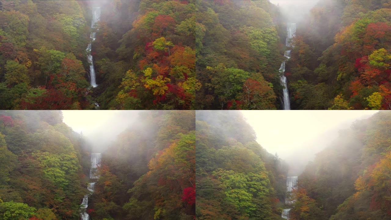 秋季雨林瀑布