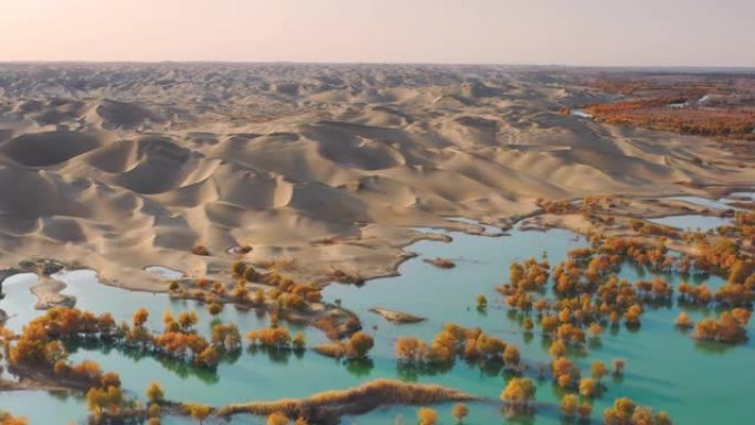 新疆鸟瞰图广袤无垠一望无际沙海沙丘
