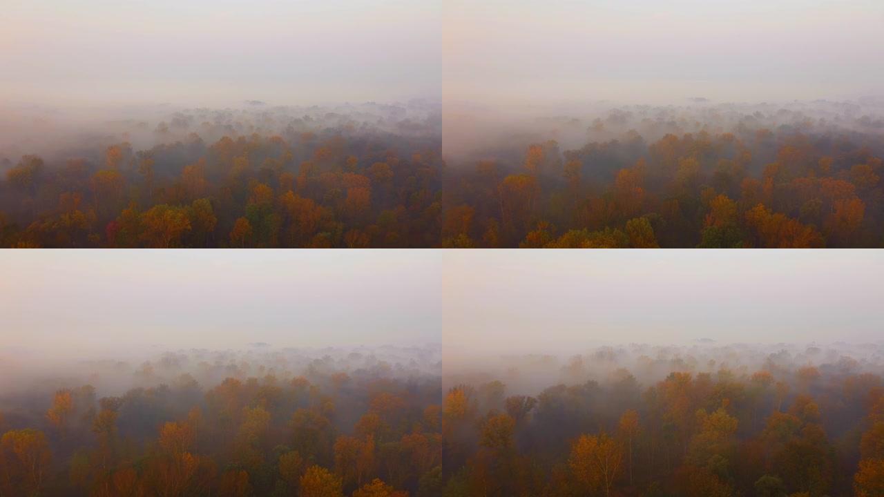 空中晨雾漂浮在森林上