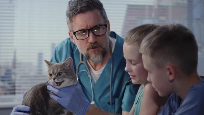 兽医向猫大师解释哈基米猫咪看病蓝大褂